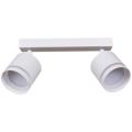53001-9.5-002IL SPOT LIGHT GX53 WT светильник точ.