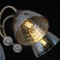 IL0230-5CSQ-29 BK AB светильник потолочный
