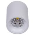 81117-9.5-001RT LED10W WT светильник точ. накладной