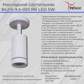 84215-9.5-001RN "L" LED5W WT светильник точ. поворотный