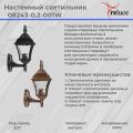 08243-0.2-001W BKG фонарь