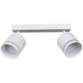 53001-9.5-002IL SPOT LIGHT GX53 WT светильник точ.