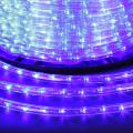 13-2W-100M-220V-LED-U BL дюралайт круглый