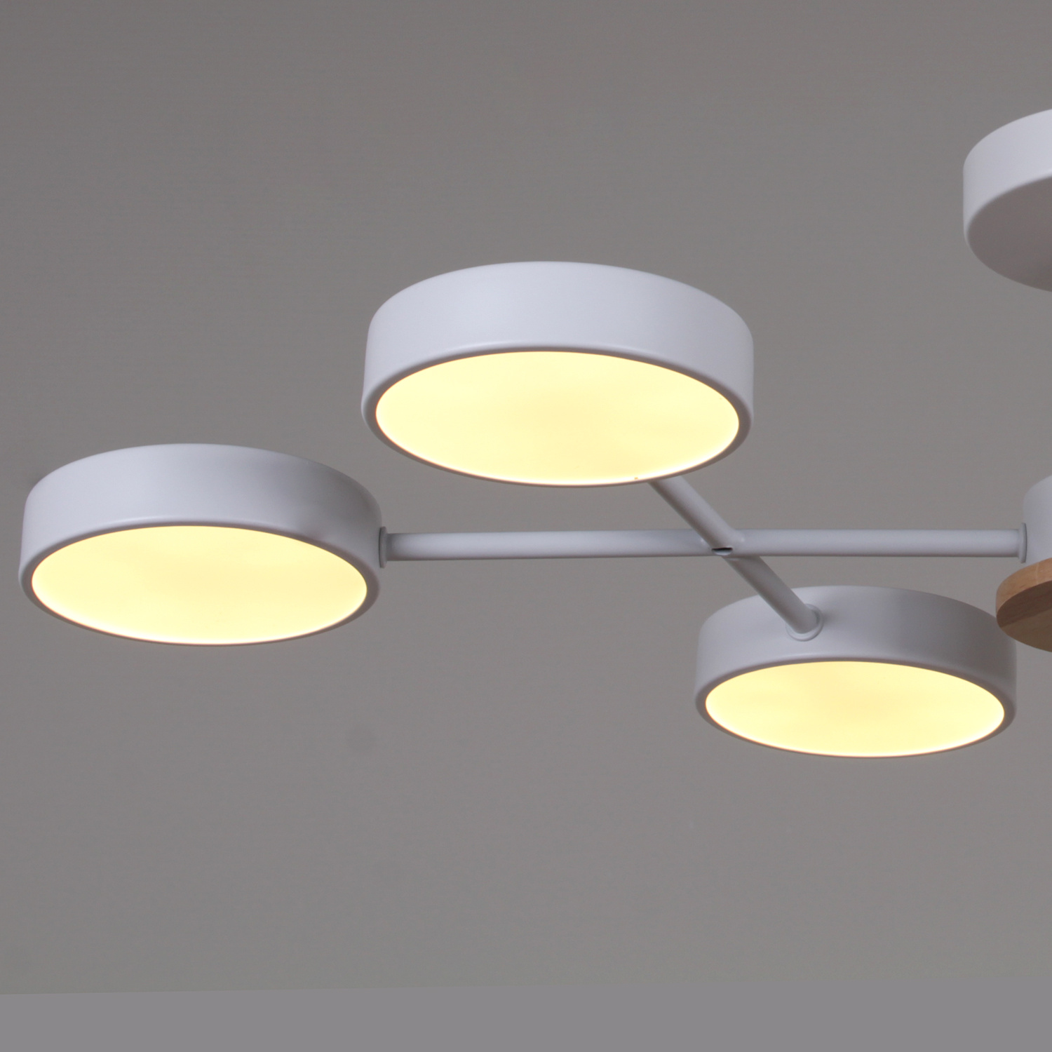 03335-0.3-06 WH+WOOD светильник потолочный