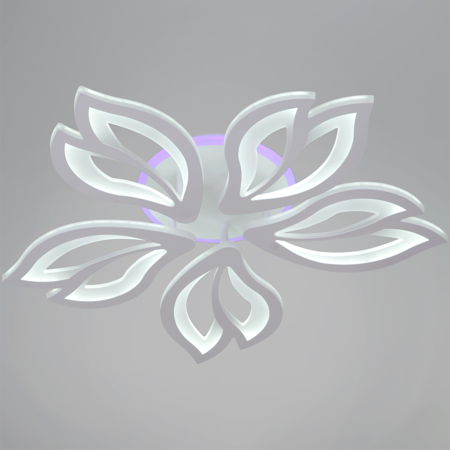 85162-0.3-5C светильник потолочный