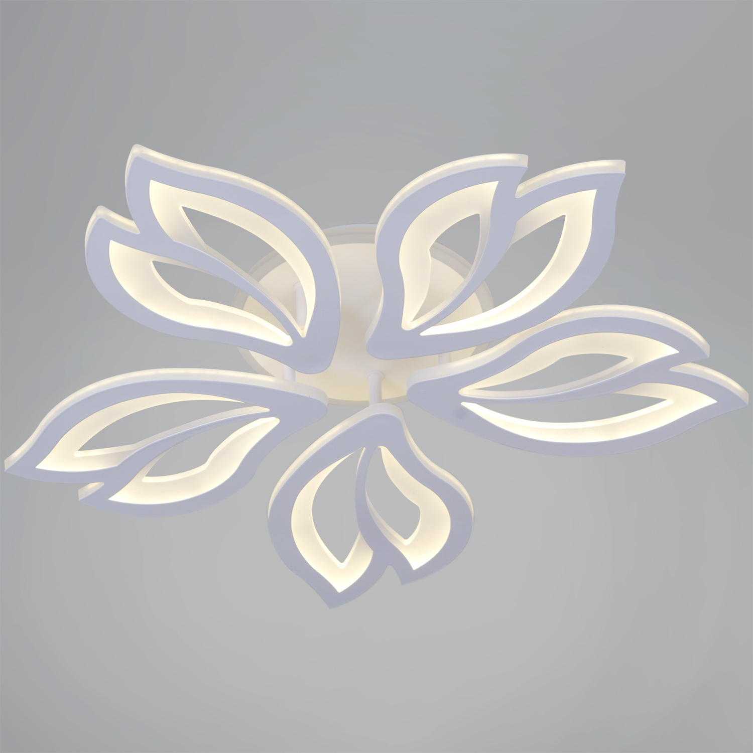 85162-0.3-5C светильник потолочный