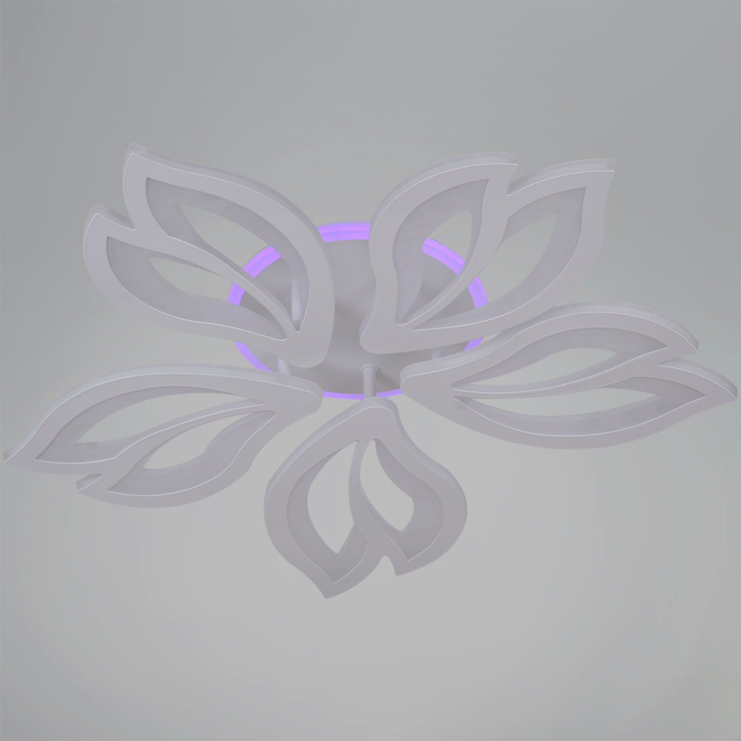 85162-0.3-5C светильник потолочный