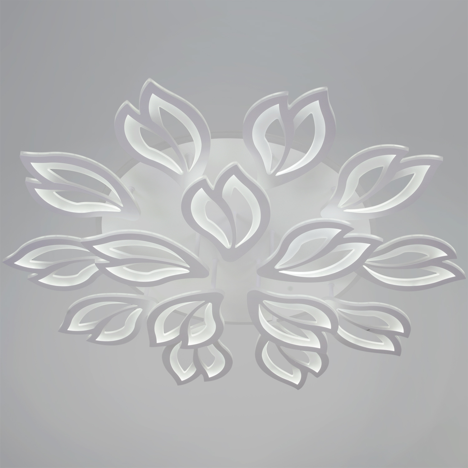 85162-0.3-10+5C светильник потолочный