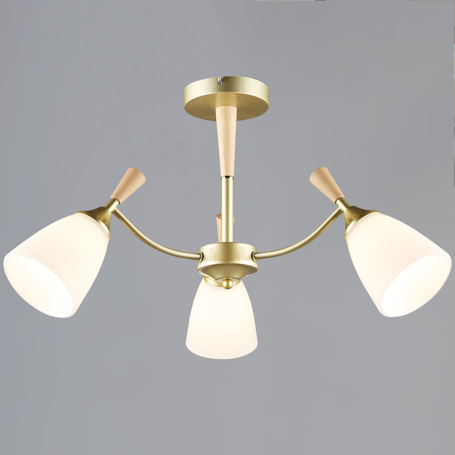 38960-0.3-03 GD+WOOD светильник потолочный