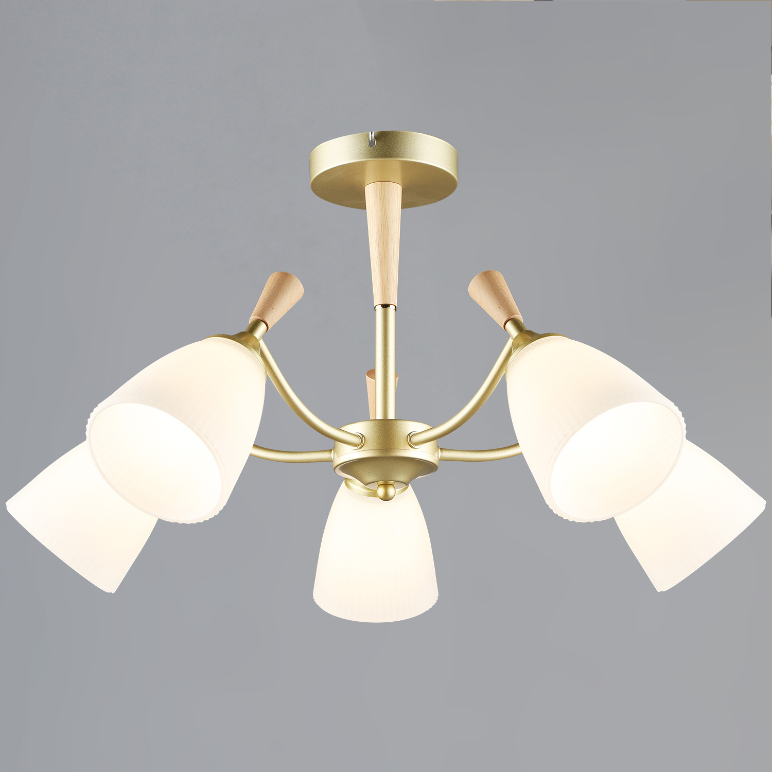 38960-0.3-05 GD+WOOD светильник потолочный